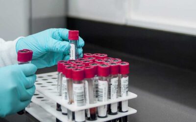 Porto de Mós acolhe colheita de sangue