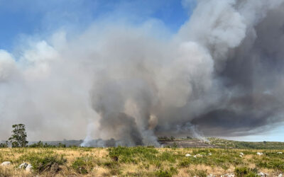 Incêndio em plena serra na zona de Arrimal em fase de resolução