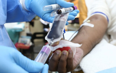 Recolhas de sangue em Mira de Aire e Porto de Mós