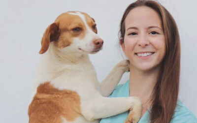 Pós-confinamento pode trazer consequências aos animais domésticos