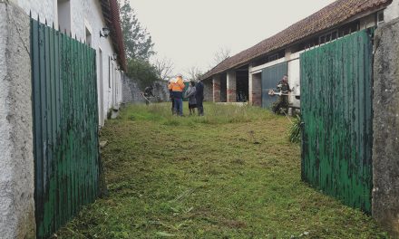 Refugiados já instalados e a trabalhar em Porto de Mós
