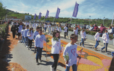 “Domingo de Ramos” com “casa cheia”