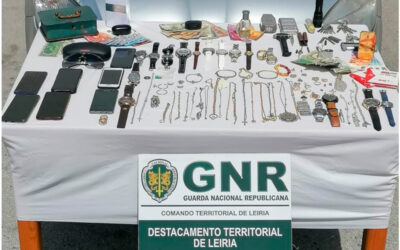 Detidos por furto em residências de Porto de Mós, Batalha e Leiria