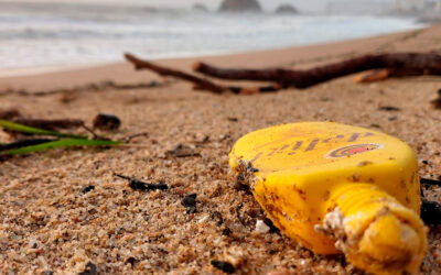 Começou hoje campanha “Eco Praias” da Valorlis