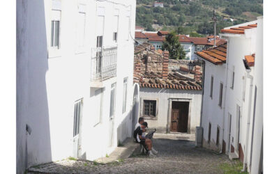 Há 200 pessoas a viver em casas sem condições no concelho de Porto de Mós