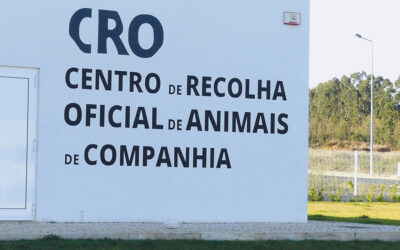 Cão que terá matado homem na Marinha da Mendiga vai ser transferido para a União Zoófila
