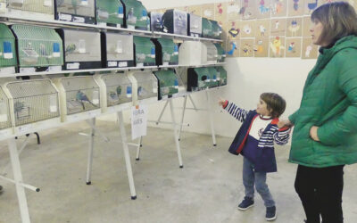 Quatrocentas aves exóticas em exposição