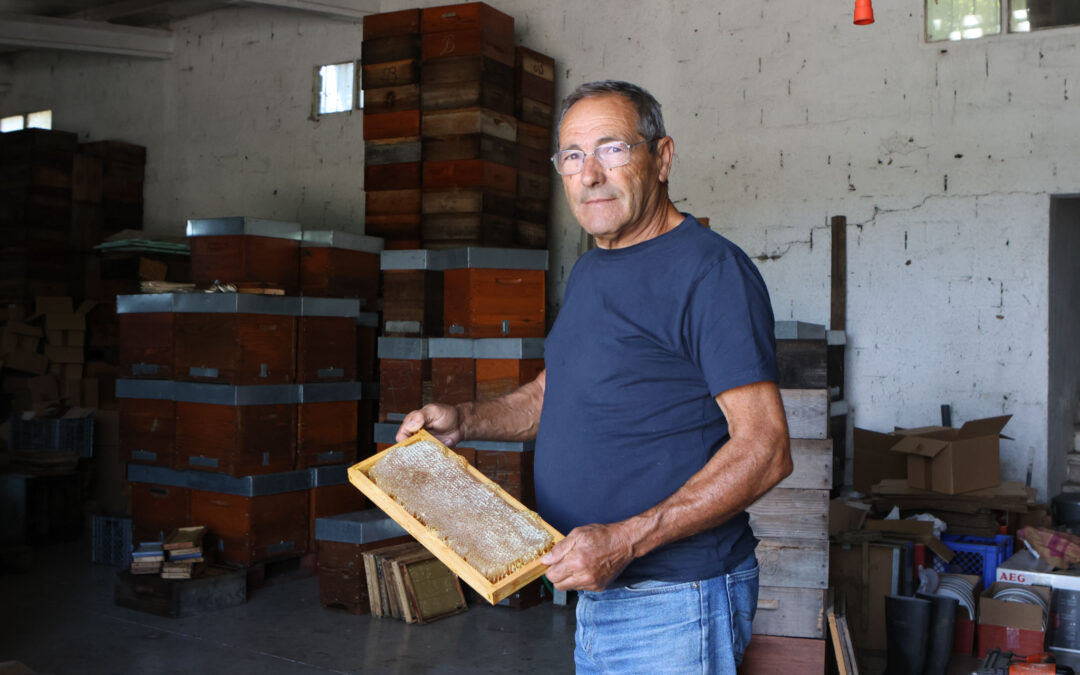 João Bernardes dedicou-se à apicultura após uma vida no Ensino