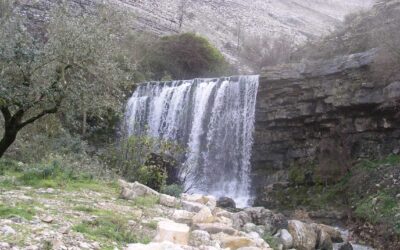 “Centro Interpretativo das Atividades de Natureza é fundamental como porta de entrada no concelho”