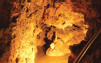 Grutas de Mira de Aire entram em ano de cinquentenário com os melhores números do século