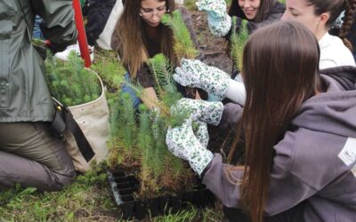 IEJ cria clube de proteção florestal e já esteve “no terreno”