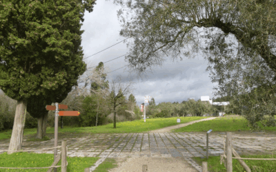Plano de Pormenor de Salvaguarda do Campo Militar de São Jorge vai ter de esperar até março