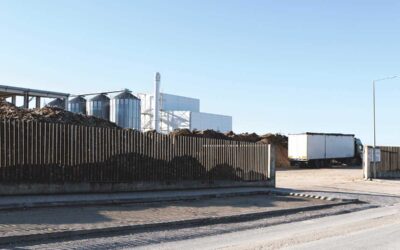 Grupo franco-belga compra central de biomassa do Juncal