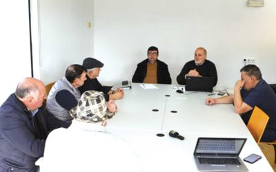 Javalis continuam a dar dores de cabeça aos agricultores da região