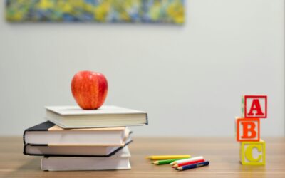 Integração de alunos estrangeiros entre as prioridades e os desafios das escolas do concelho