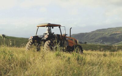 Agricultores de Porto de Mós sofrem tanto como os restantes agricultores europeus