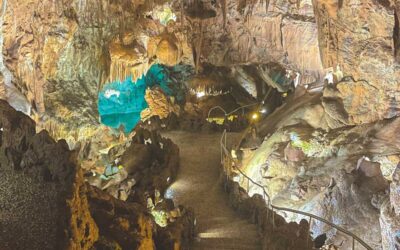 Grutas de Mira de Aire em workshop internacional pelo futuro do Turismo