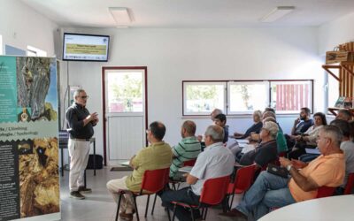 Porto de Mós entra na rota do projeto “Ouro Líquido”