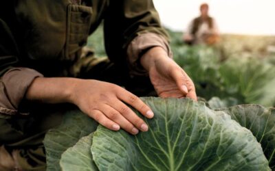 Agricultores da região voltam a reunir-se para debater problemas no setor