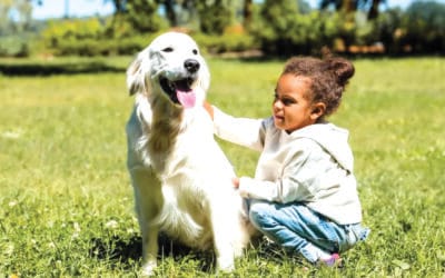 Smiledog promove a saúde física e emocional de crianças com Perturbações do Espetro do Autismo