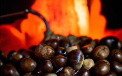 Fonte do Oleiro recebe o tradicional magusto já amanhã