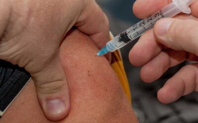 Farmácias do concelho dão nota positiva à campanha sazonal de vacinação