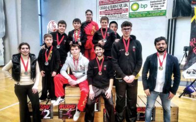 Shenlong em grande no Campeonato de WUSHU e na Taça de Portugal