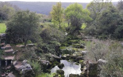 Passeio convida a descobrir o polje de Mira-Minde