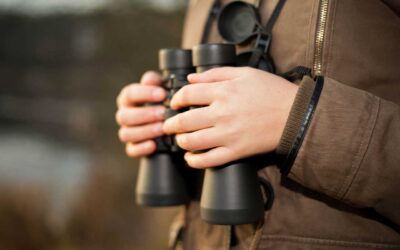 Bezerra acolhe mais um Birdwatching