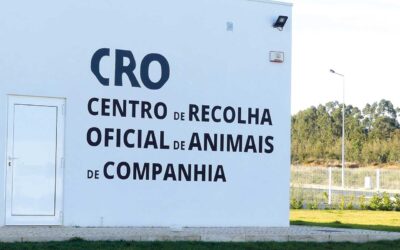 Câmara lança terceiro concurso para médico veterinário