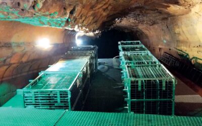 Mais de 15 mil garrafas de vinho em estágio nas Grutas de Mira de Aire