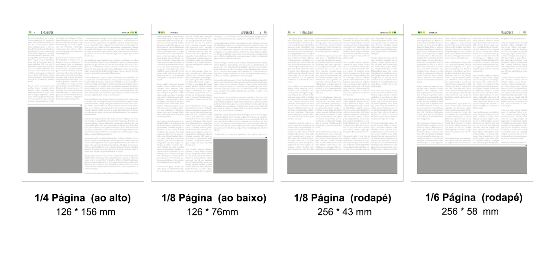capas portomosense 2 | Jornal O Portomosense