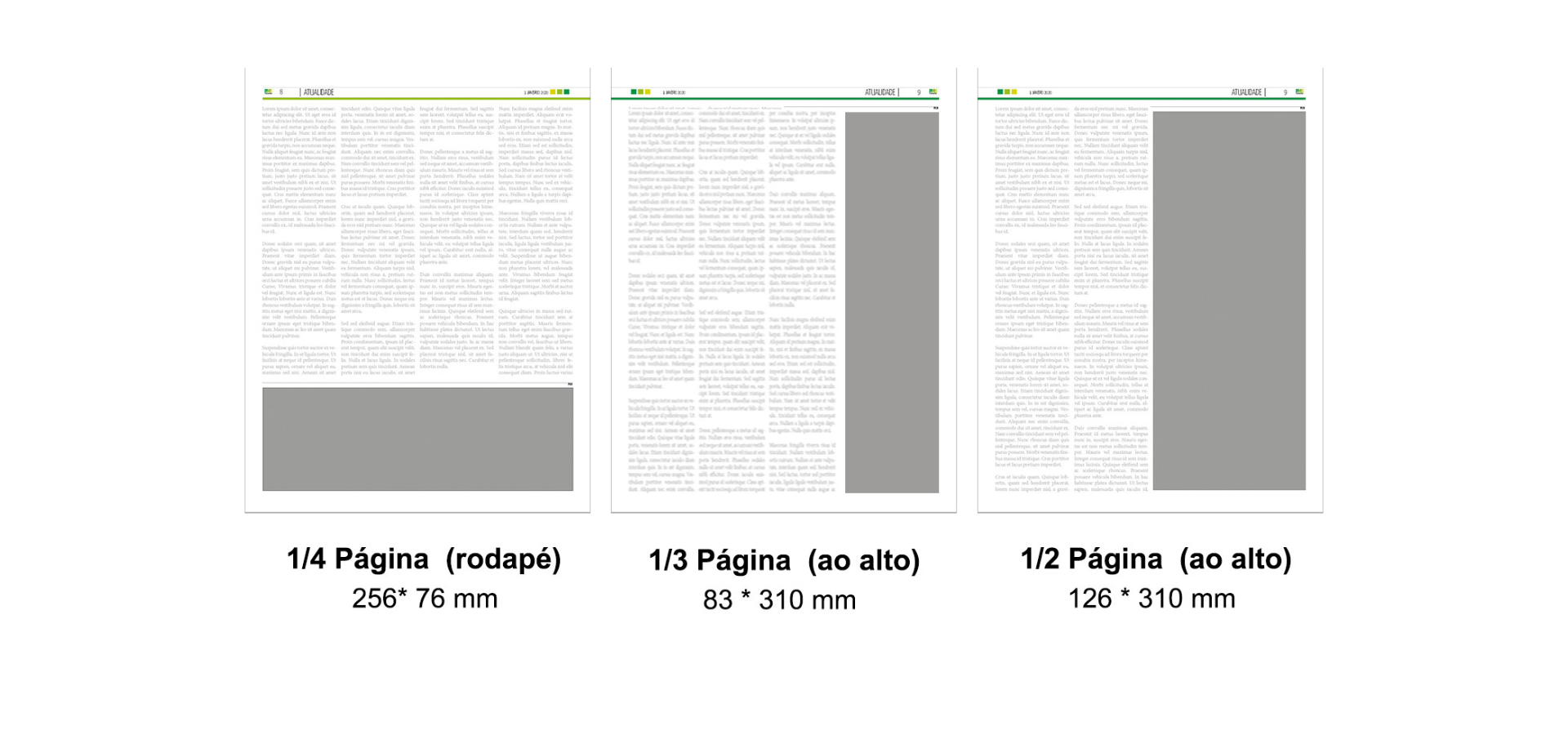 capas portomosense 3 | Jornal O Portomosense