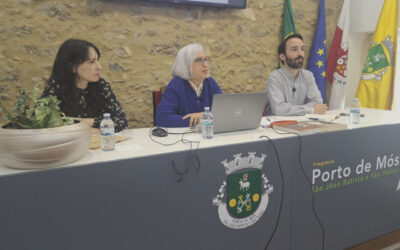 Conversão do castelo em residência palaciana “esconde” homenagem a herói de Aljubarrota