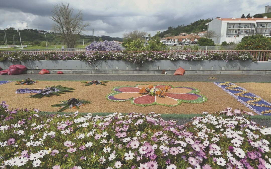 Tapete de flores voltou a estar em destaque à entrada da vila