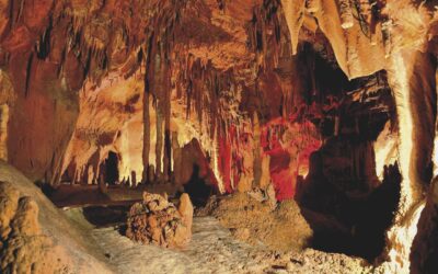 Grutas de Mira de Aire recebem visitantes vindos de cruzeiro