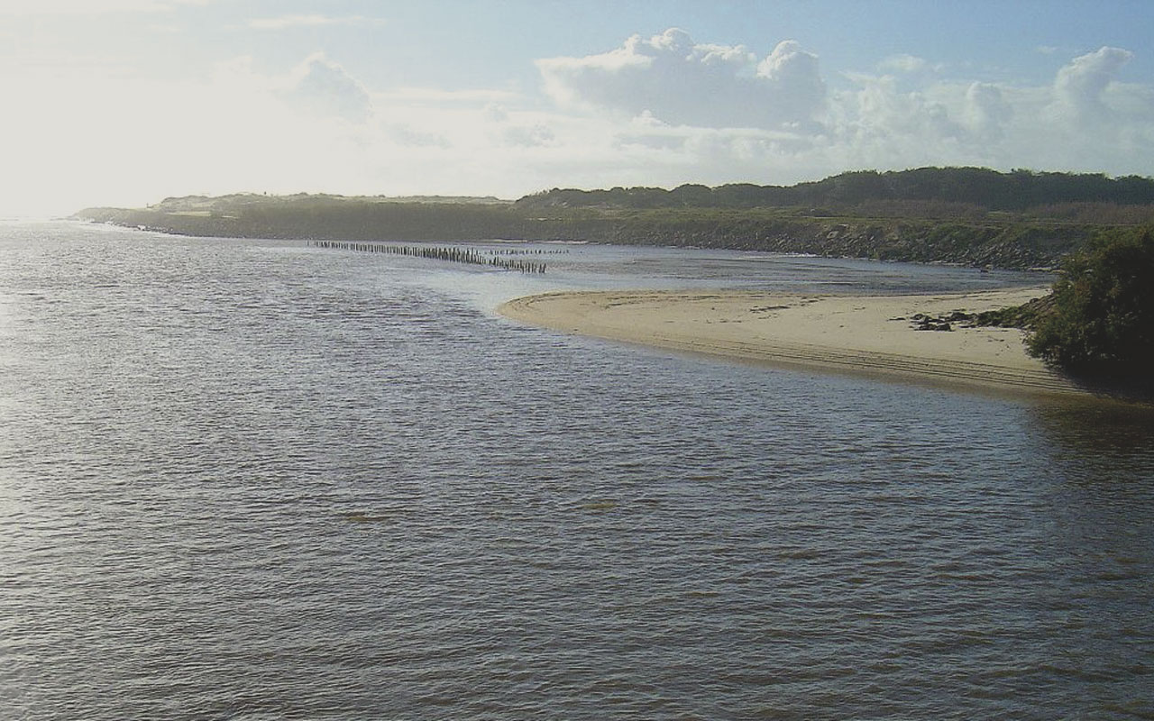 Central das Artes recebeu “Jornadas de Educação Ambiental”