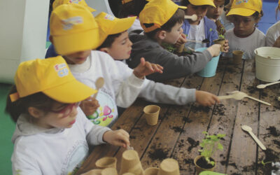 Semana da Educação leva 2 000 alunos a pôr as mãos na terra