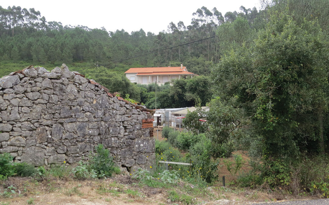 Já foi limpa 20% da área do AIGP no Alqueidão da Serra