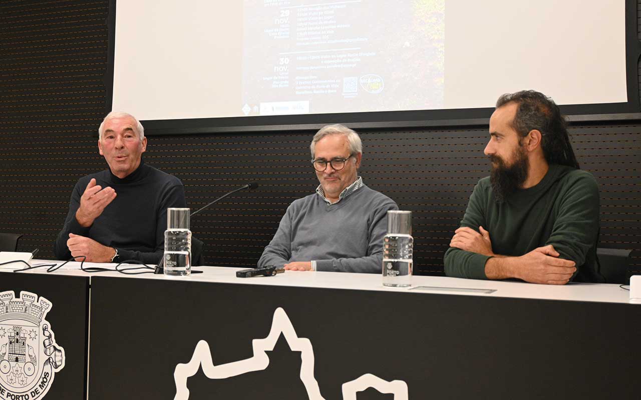 Dia Mundial da Oliveira | “Olivoturismo é um filão que tem quase tudo por explorar”