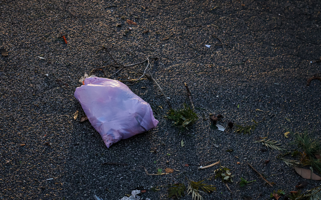 Dom Fuas Sénior organiza ação de limpeza e angariação de bens para Leiria