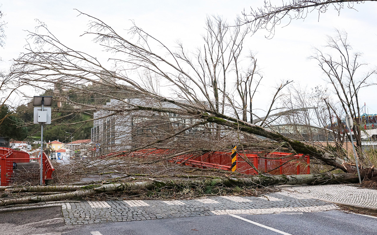 “Limpar Freguesias” junta voluntários em todo o concelho de Leiria
