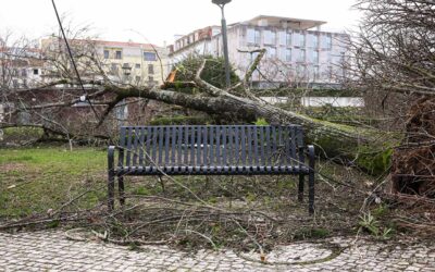 2026 01 28 Depressao Kristin 119 Luis Vieira Cruz | Jornal O Portomosense