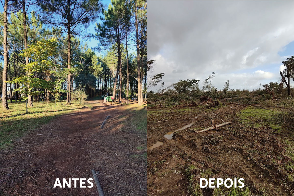 Antes Depois CIBA Jessica Moas de Sa | Jornal O Portomosense