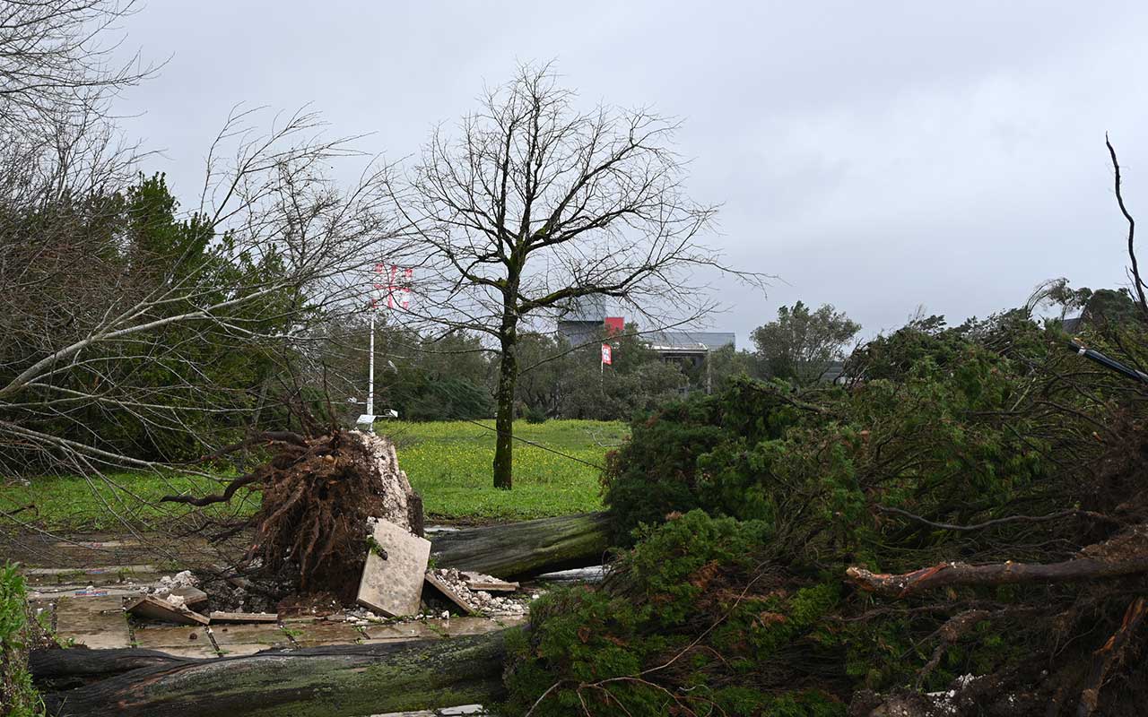CIBA reabre ao público com condicionantes no exterior