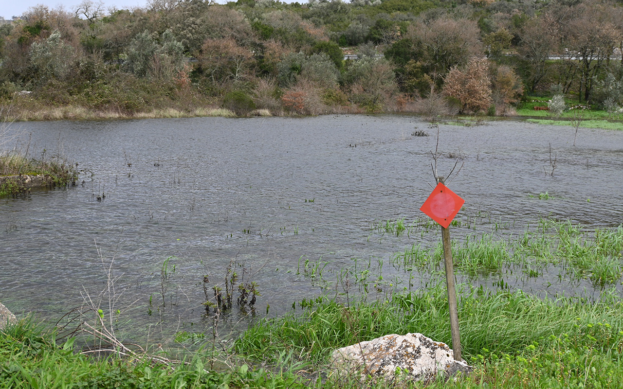 Ponto de situação no concelho de Porto de Mós na sequência das tempestades (7 de fevereiro)