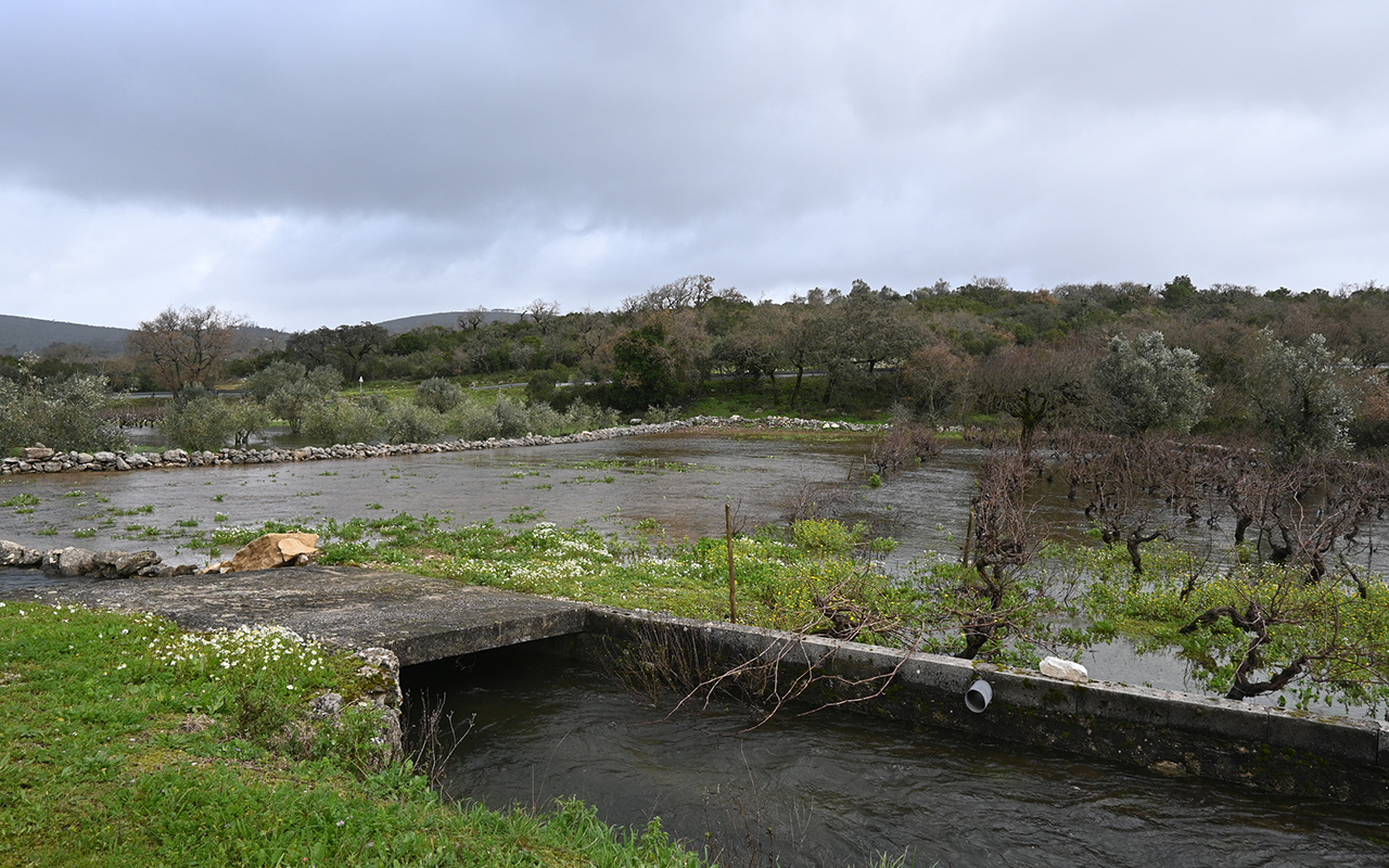 Ponto de situação no concelho de Porto de Mós na sequência das tempestades (10 de fevereiro)