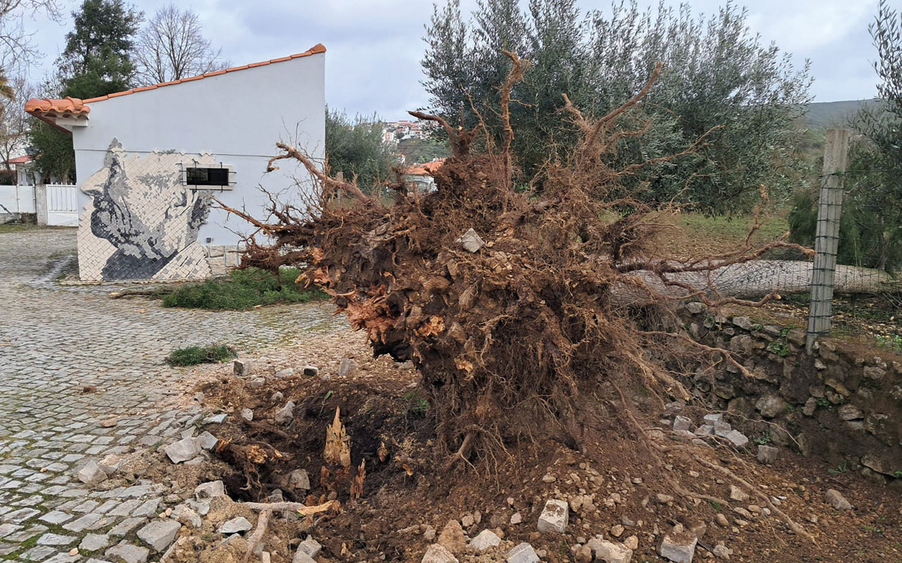 CIMRL aprova plano estratégico para recuperar e transformar o território após a depressão Kristin