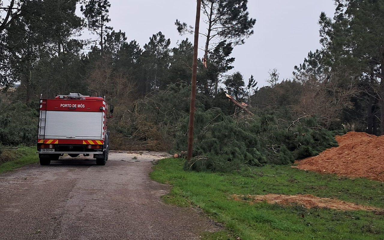 Ponto de situação no concelho de Porto de Mós na sequência das tempestades (11 de fevereiro)