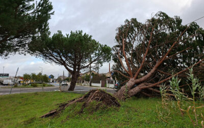 Depressao Kristin 2 Jessica Silva | Jornal O Portomosense